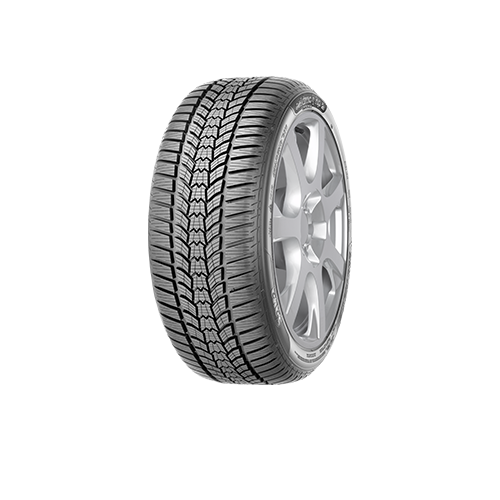 205/55 R16 ESKIMO HP 2 [91] H