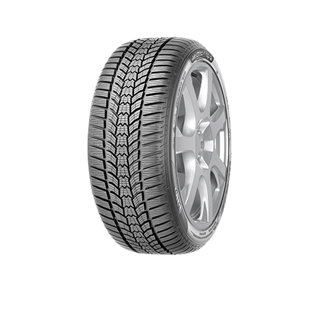 205/55 R16 ESKIMO HP 2 [91] H