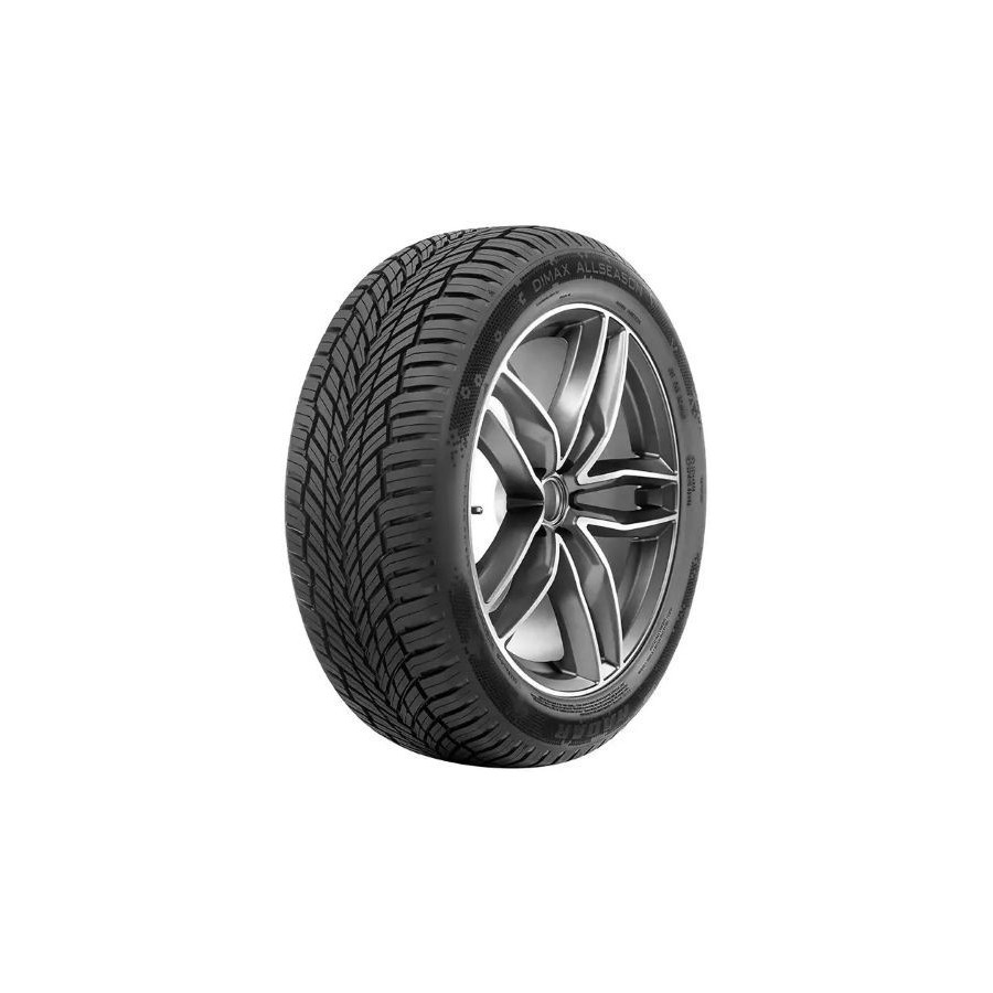 235/65 R18 DIMAX ALLSEASON [110] V XL