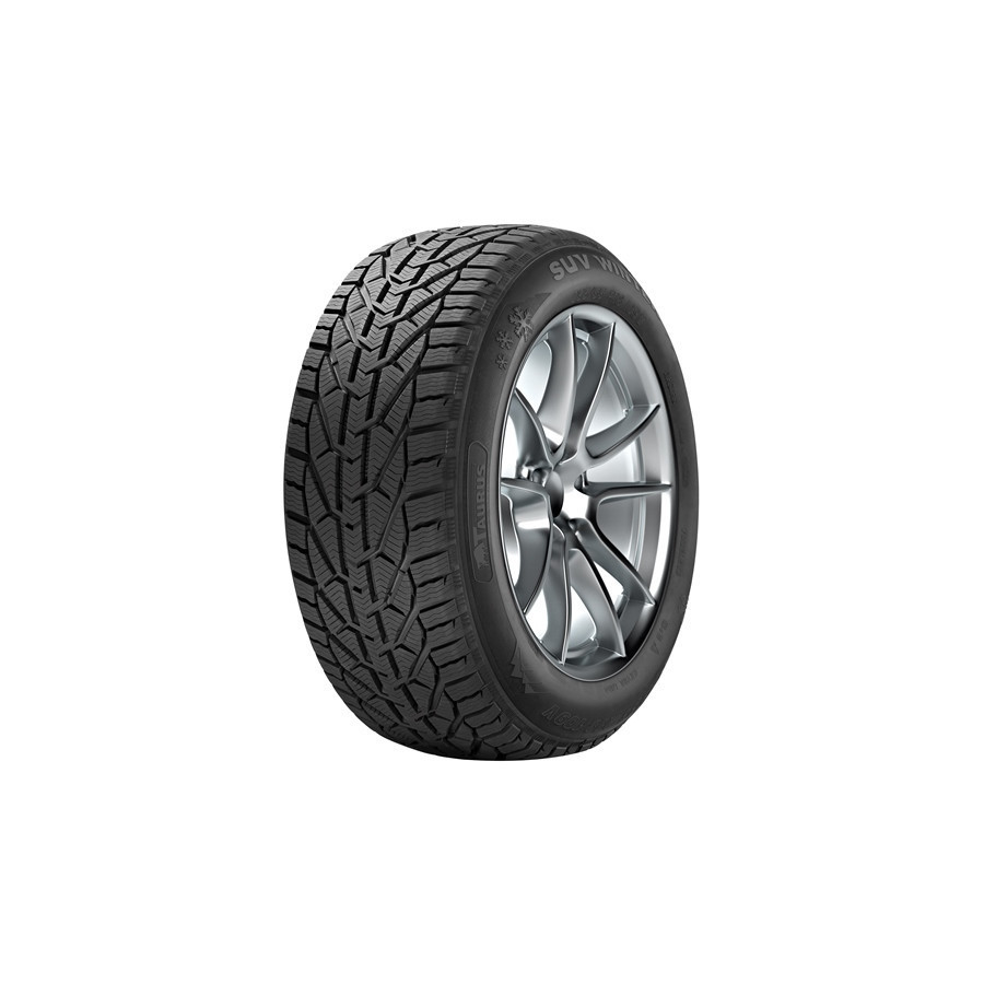 235/55 R19 SUV WINTER [105] V XL